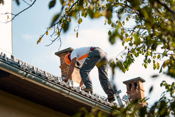 Best Roof Ventilation Installation  in Tower Lakes, IL