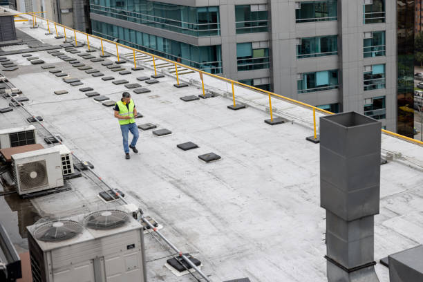 Best Cold Roofs  in Tower Lakes, IL